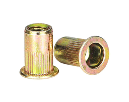Two Zinc-Plated Rivet Nuts