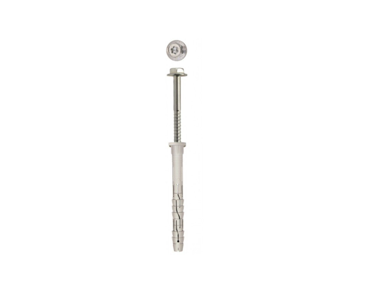 Nail Plug / Hammer Screw - Express technical