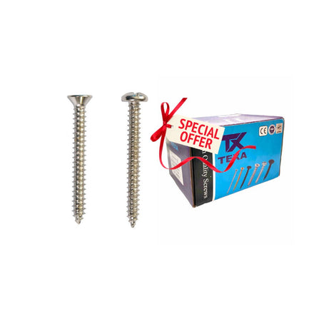 Special Offer Box with Two Self Tapping CSK Head Screw